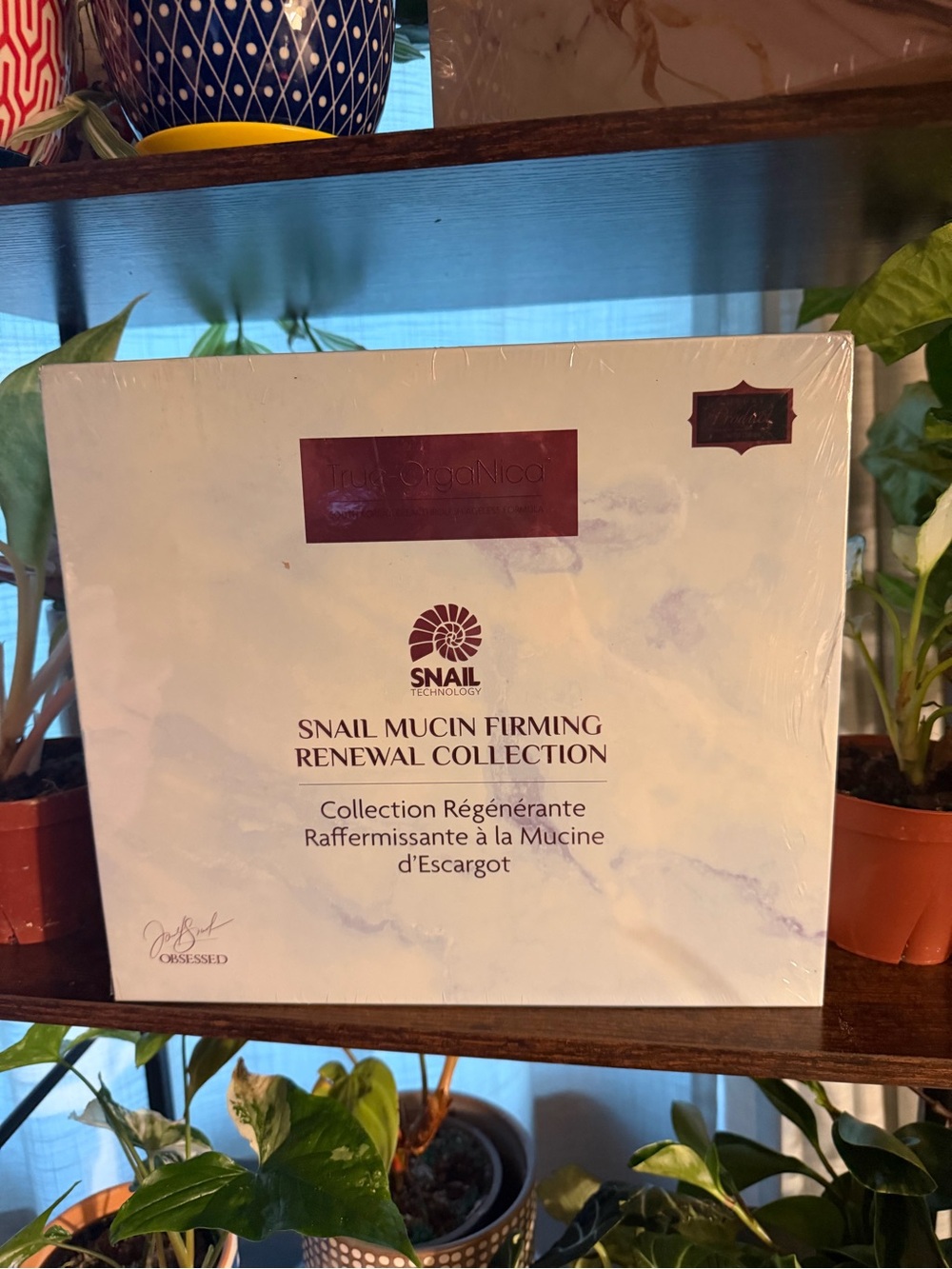 Snail Mucin Firming Renewal Collection - White Packaging